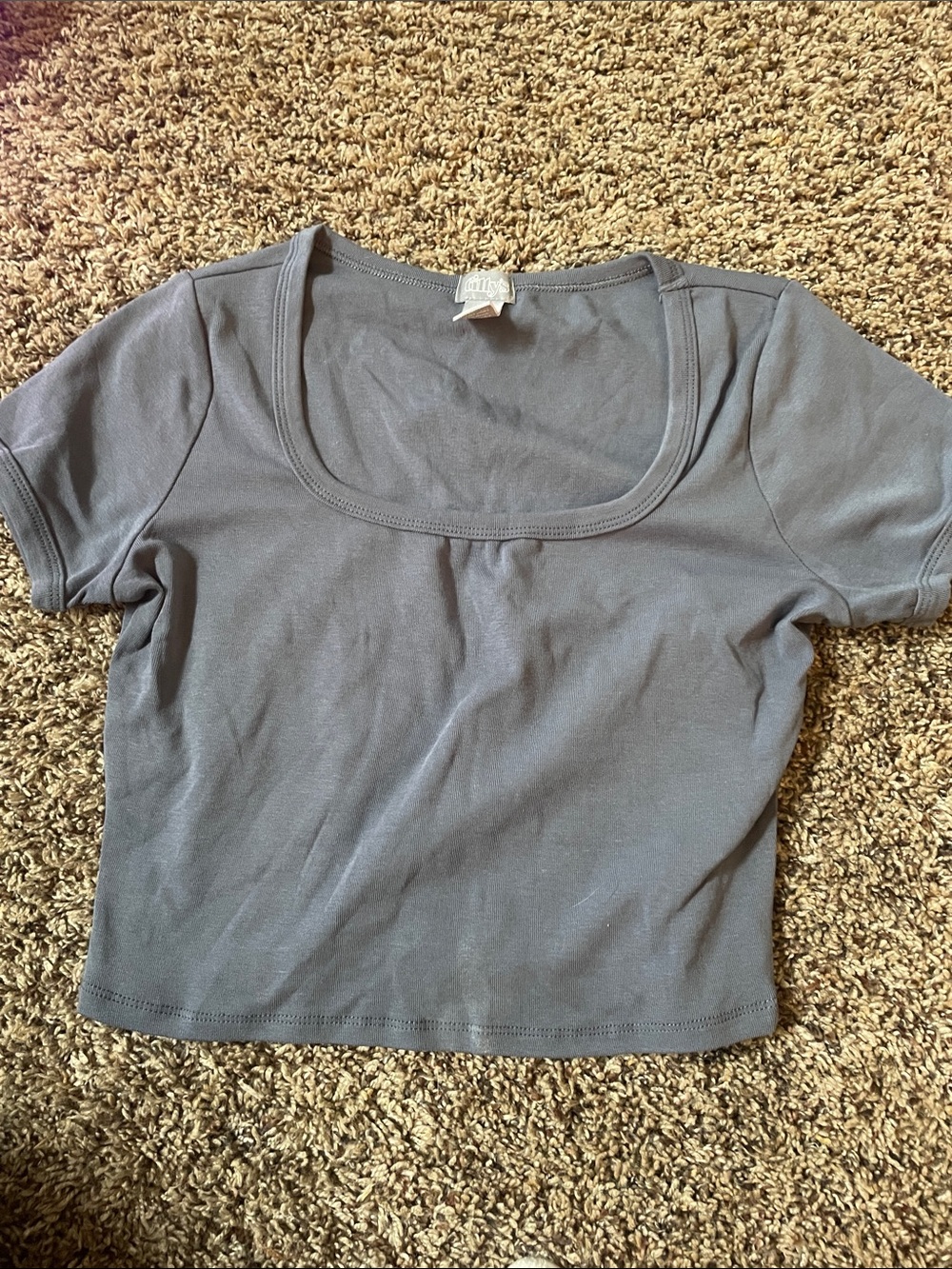 Tilly's Gray Scoop Neck Short Sleeve Crop Top